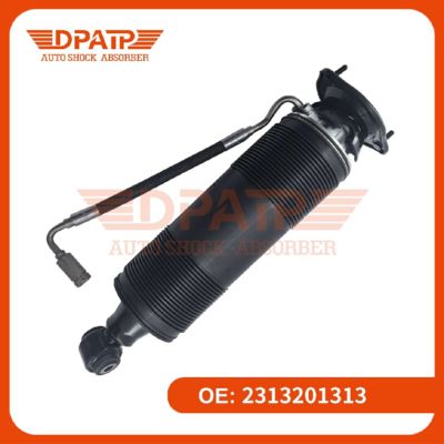 Air Suspension Coilovers Kit Achterste schokdemper 2313201313 2313201413 voor Mercedes-Benz 231