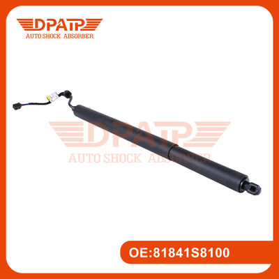 Power Liftgate Strut 81841S8100 81830S8100 Voor Hyundai Palisade