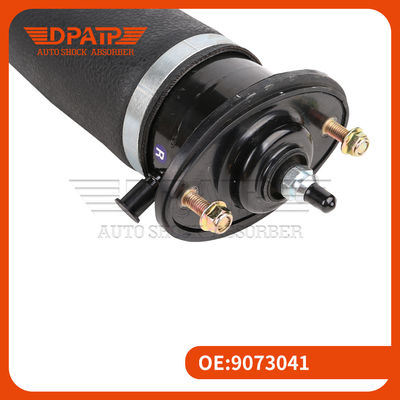 Cadillac SLS Air Shocks Manufacturer OE 9073041 Achterste schokdemper