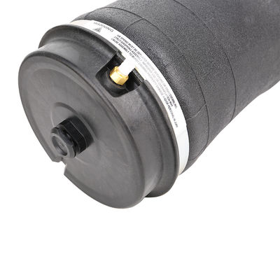 Luchtophangingsveer voor Land Rover Vogue L322 RKB500082 RKB500080 RKB000151 Achter links en rechts